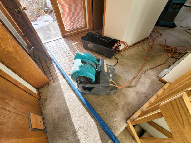 Best Mold removal after water damage  in Fairplains, NC