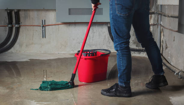 Best Flood damage cleanup  in Fairplains, NC