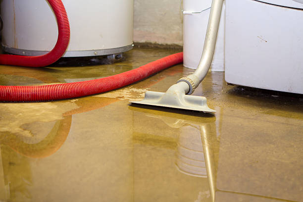 Best Water damage contractors near me  in Fairplains, NC